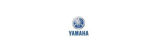 Yamaha YZF-R6, 06-07