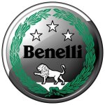  Teile f&uuml;r Motorr&auml;der von Benelli...