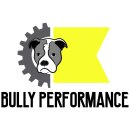 Bully Performance