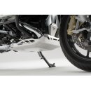 Motorschutz Silbern BMW R 1200 R (14-18) / R 1200 RS (14-16)