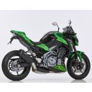 DSX-10 KAWASAKI Z900 2020 bis 2024