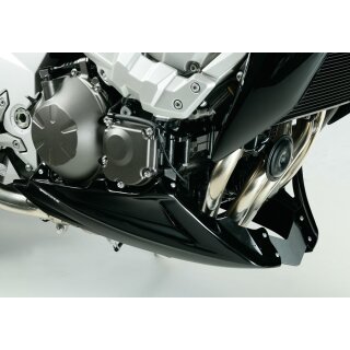 Bugspoiler Kawasaki Z 750 2004-2006, unlackiert mit ABE