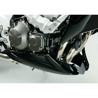 Bugspoiler KAWASAKI Z750 2011