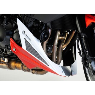 BODYSTYLE Bugspoiler KAWASAKI Z1000 2010 bis 2013 unlackiert