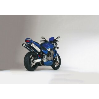 Rac 1 HONDA CB900 Hornet 2002 bis 2005