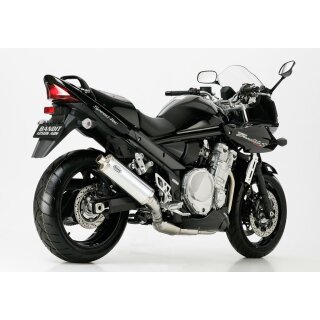 Hurric RAC1 Auspuff Suzuki GSF 1200 Bandit -2000 Alu mit...