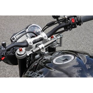 LSL Lenkungsdämpfer Kit TRIUMPH Street Triple 675/R und 765/R 13-, titan , silber