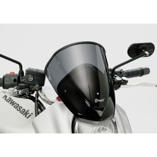 Ermax Windschild Kawasaki ER-6 n 06-08 mit ABE