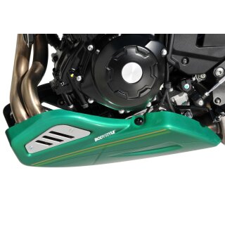 Bugspoiler KAWASAKI Z650 RS 2022 bis 2023