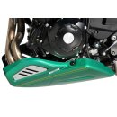 BODYSTYLE Bugspoiler KAWASAKI Z650 RS 2022...