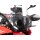 Lampenschutzgitter schwarz für Honda CRF 300 Rally (2021-)