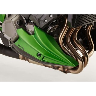 Bugspoiler unlackiert Kawasaki Z 800 /e ZR 800 A/C mit ABE
