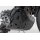 Motorschutz Schwarz. Triumph Tiger 1200 Modelle (22-).