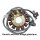 TECNIUM Stator Honda VFT800C