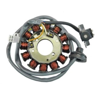 TECNIUM Stator - Minarelli Horizontal 12 Coils