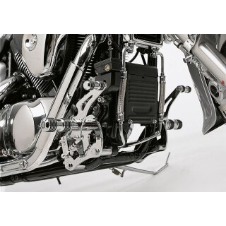 MAL_Falcon_Fussrastenanlage_65408014