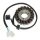 ELECTROSPORT Stator - Suzuki DL650 V-Storm