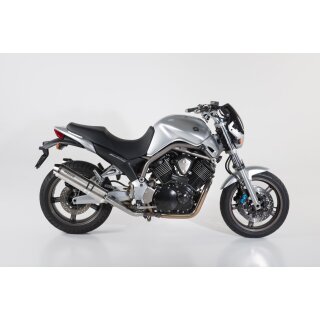 Yamaha BT 1100 Bulldog Bj. 2001-2007 Slip-on 2-2
