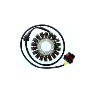 ElectroSport Stator ESG306 für Lichtmaschine ,