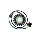 ElectroSport Stator ESG306 für Lichtmaschine ,