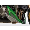 Bugspoiler KAWASAKI Z1000 2017