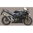 Exan Auspuff Kawasaki ZX 10R Bj. 06-07 classic oval mit...