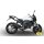 Exan Auspuff Yamaha FZ-1 Bj. 06- X-Black Evo mit EG-ABE
