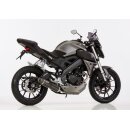 Shark Auspuff Yamaha MT 125, YZF-R 125, Street GP...