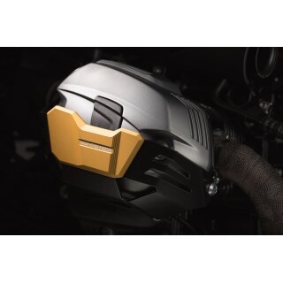 Zylinderschutz BMW R 1200 R (11-14) golden 1 Paar