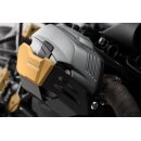 Zylinderschutz BMW R 1200 R (11-14) golden 1 Paar