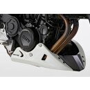 BODYSTYLE Bugspoiler BMW F 800 R 2017 bis 2018 weiß...