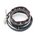 Stator ESG21