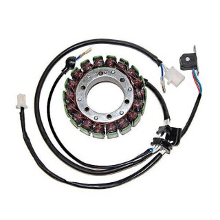 Stator ESG 079
