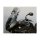 MRA X-Creen- Touring XCT, TIGER 1050 /SE /SPORT 06-15, klar