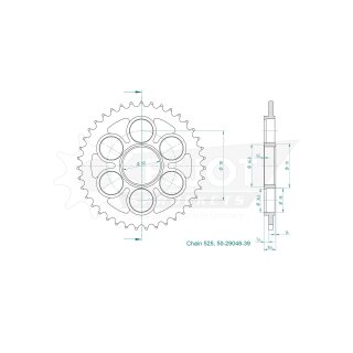 ESJOT Kettenrad, 39 Zähne