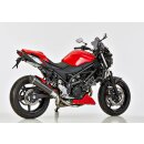 Street GP SUZUKI SV 650 X 2018 bis 2024