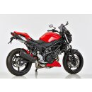 DSX-10 SUZUKI SV 650 X 2018 bis 2024