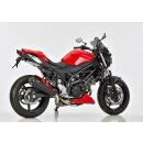 DSX-7 SUZUKI SV 650 X 2018 bis 2024