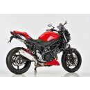 Rac 1 SUZUKI SV 650 X 2018 bis 2024