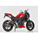 Supersport SUZUKI SV 650 X 2018 bis 2024