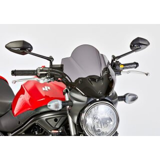 Naked-Bike-Scheibe SUZUKI SV 650 2016 bis 2023 schwarz...