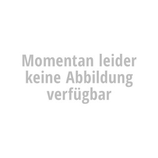 Ixil Auspuff SX1 Carbonabdeckung eckig Dämpferbox