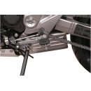 ION Fußrasten-Kit Kawasaki Versys 650 / ZRX1200 /...