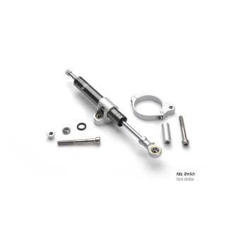 LSL Lenkungsdämpfer Kit KAWASAKI ZX-9R 02- 03, titan , silber
