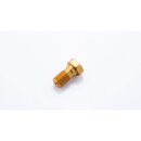 LSL Alu-Hohlschraube M10x1.00, gold Aluminium, gold