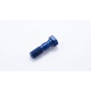 LSL Alu-Doppelhohlschraube M10x1.25, blau Aluminium, blau