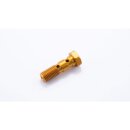LSL Alu-Doppelhohlschraube M10x1.25, gold Aluminium, gold