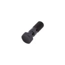 LSL Alu-Hohlschraube M10x1.25, schwarz Aluminium, schwarz