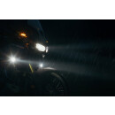 EVO Nebelscheinwerfer-Kit Schwarz. BMW F 750 / 800 / 850...