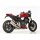 SHARK Track Raw Auspuff HONDA CB1000R 2018 bis 2024 (SC80) silber